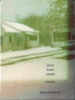 cover image of Into That Good Night